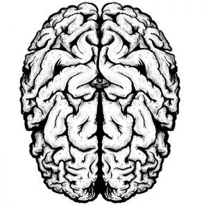 Qué son las Redes Neuronales Artificiales